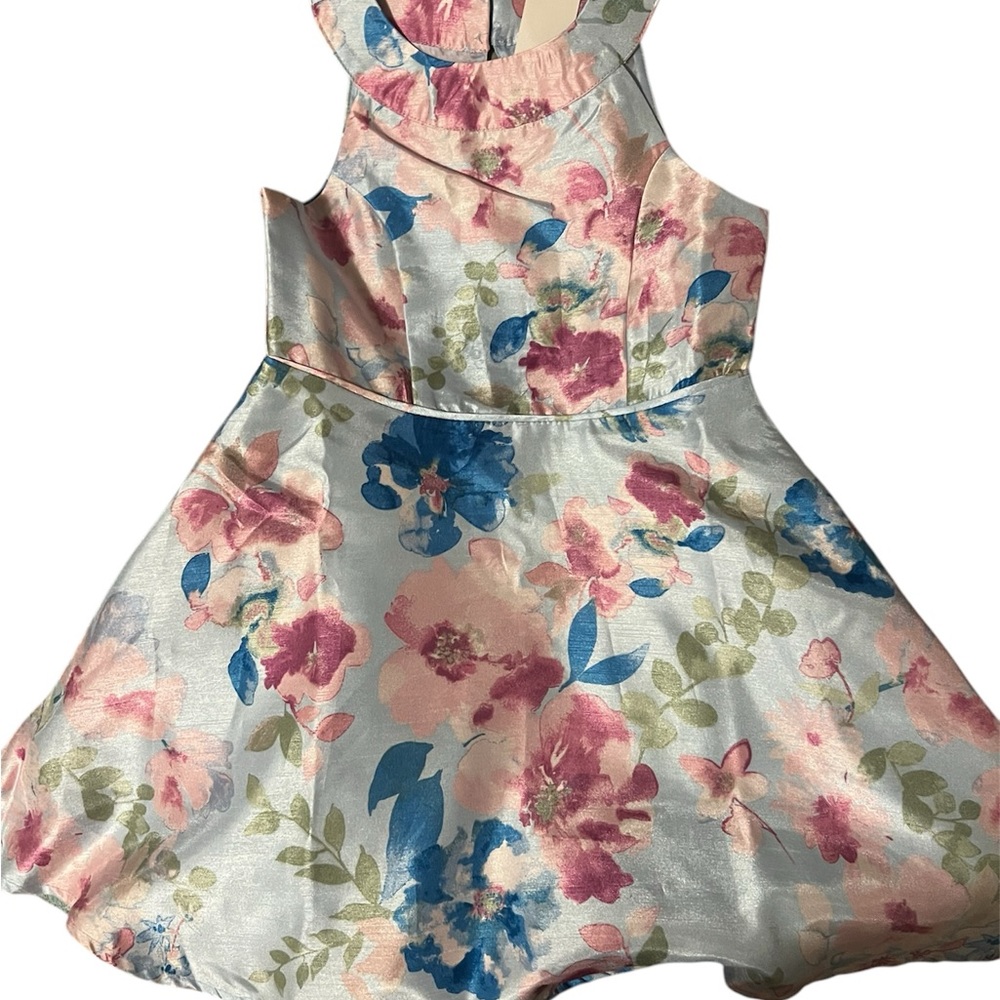 Floral Sleeveless Dress
